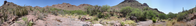 This panorama, taken from the wash that carves Alamo Canyon, highlights the old corral that is located at the end of the trail as well as an impressive grove of Organ Pipe Cactus.