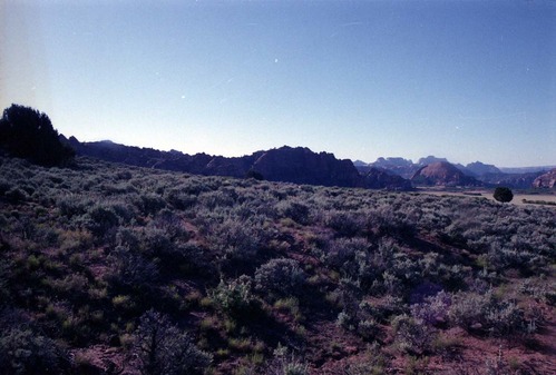Color Photos of Cave Valley area.