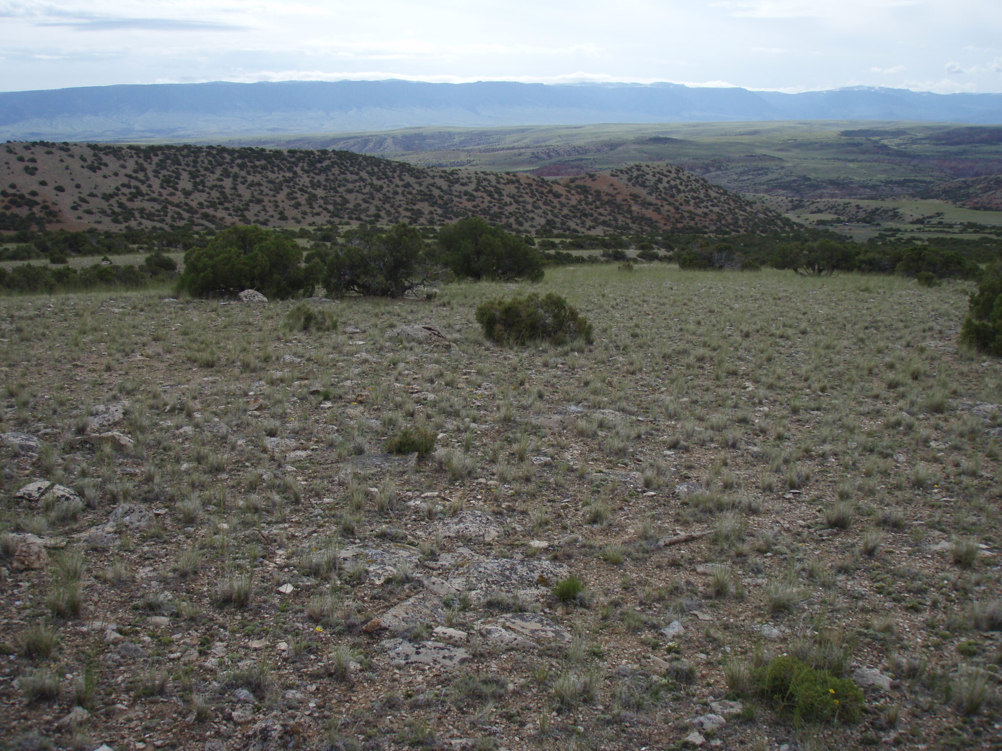 Image of the vegetation and landscape at photo point in Bighorn Canyon NRA 
