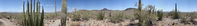 This panorama highlights the view from on top of the ridge of The Desert View Trail. This 1.5 mile loop trail begins and ends from the group camping sites in the Twin Peaks Campground