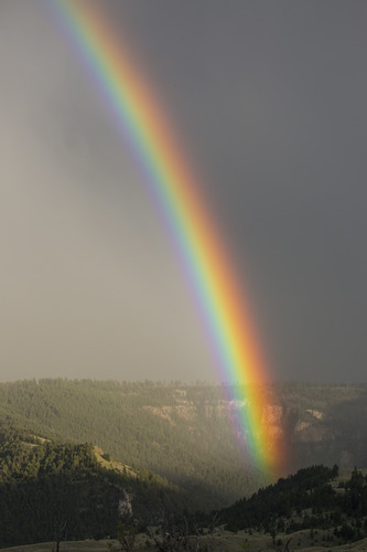 Rainbow over the Gardner River Canyon near Mammoth