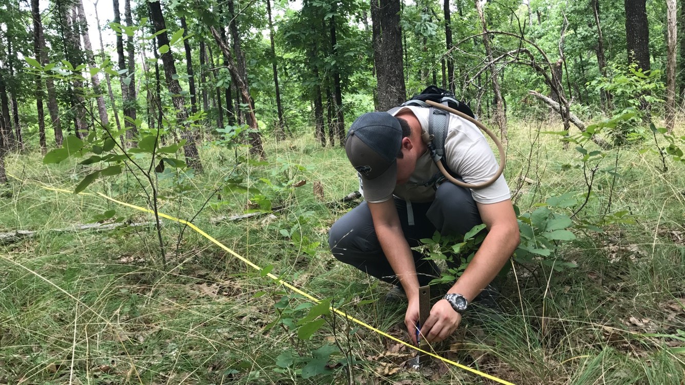 A man in a brown ball cap kneels next to a yellow tape measure and uses a ruler to identify plant height. 
