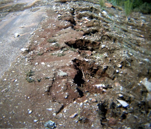 Color Photos of rock slides in Kolob Canyon.