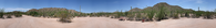 The Senita Basin Trailhead and Picnic Area is a beautiful spot in the park. Unfortunately, access to this part of the park is currently closed.