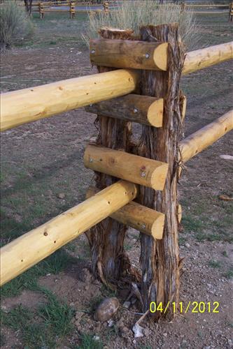 Buck and Rail Fence and Picnic Shelters, 2013