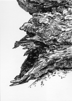 NPGallery Search Results