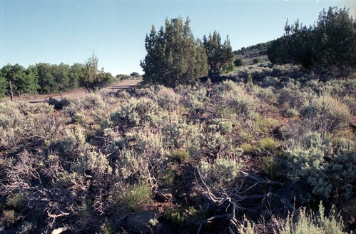 Color Photos of Cave Valley area.