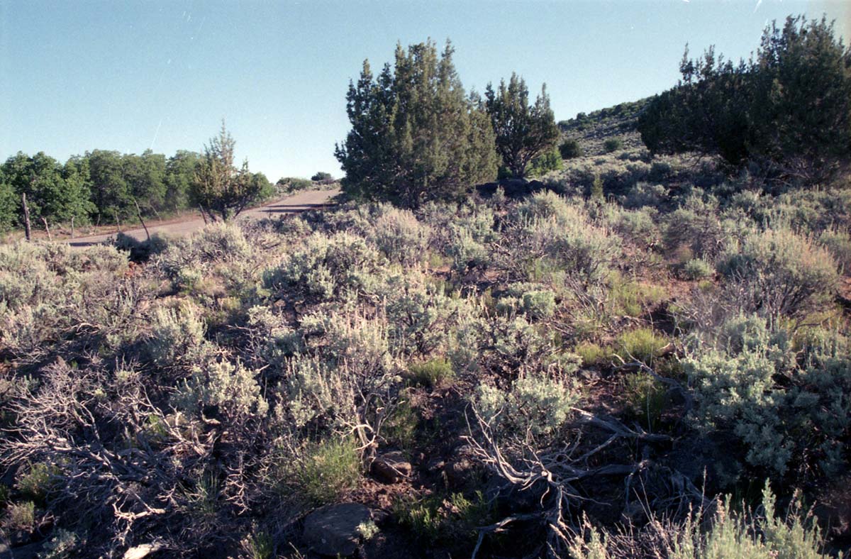Color Photos of Cave Valley area.