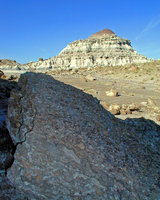 Clam Beds Near Blue Mesa