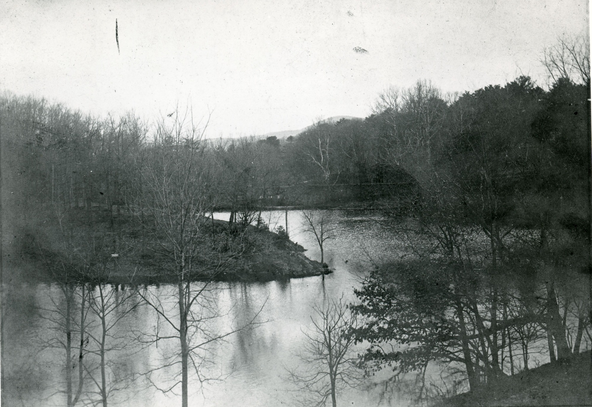 Sherwood Pond surrounded by trees.