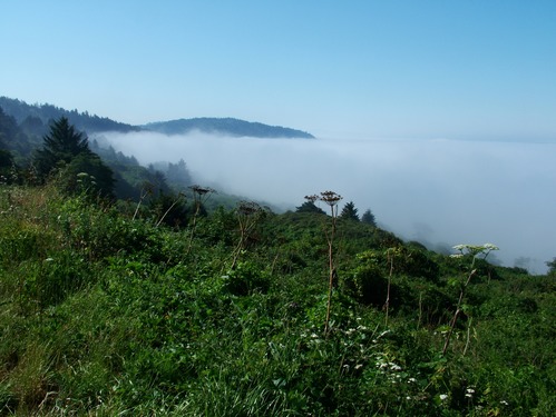 Hidden Beach covered by fog