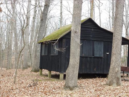 Replace Roofs on 13 Structures Cabin Camp 3