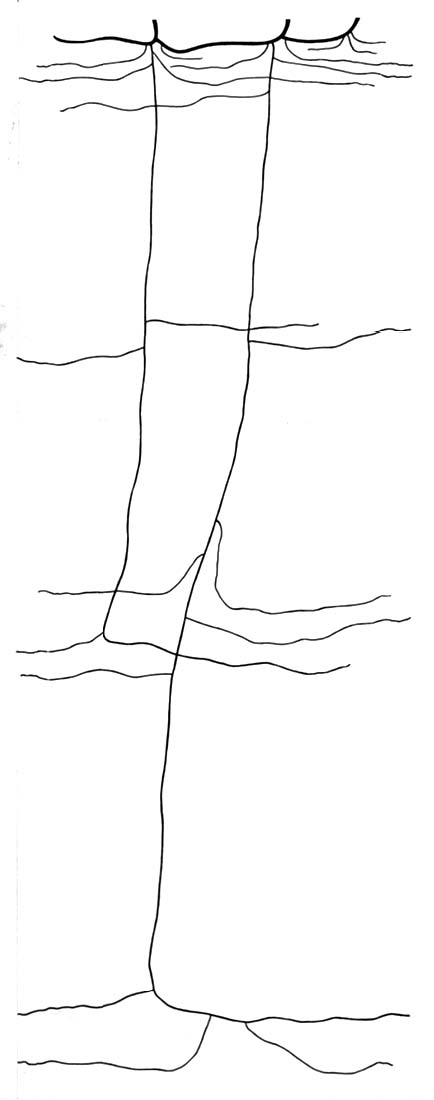 Root illustration for sandcore D4 label side only.