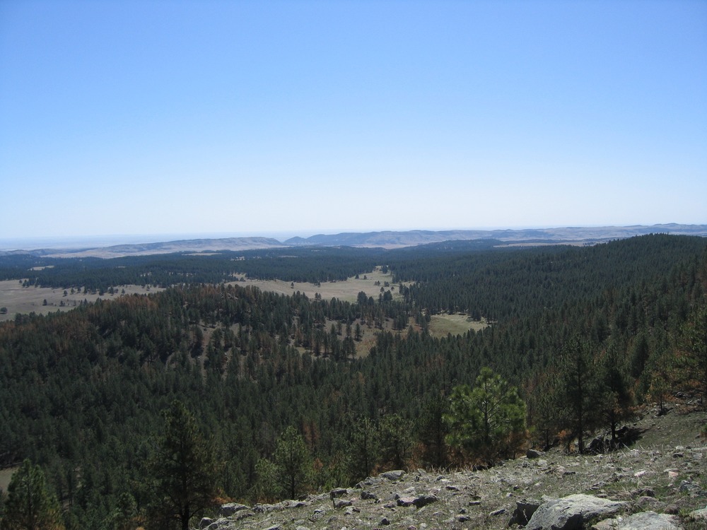 View from Rankin Ridge - Wind Cave National Park