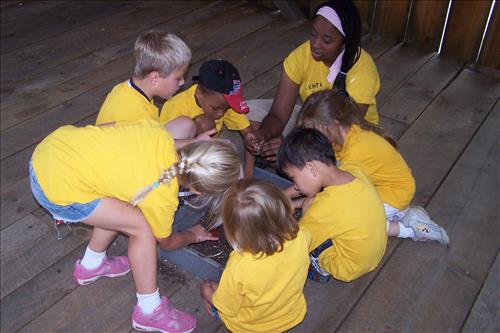 CVEEC Junior Ranger Program, Little Sprouts, Digging for Seeds
