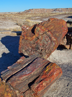 Giant Logs Trail