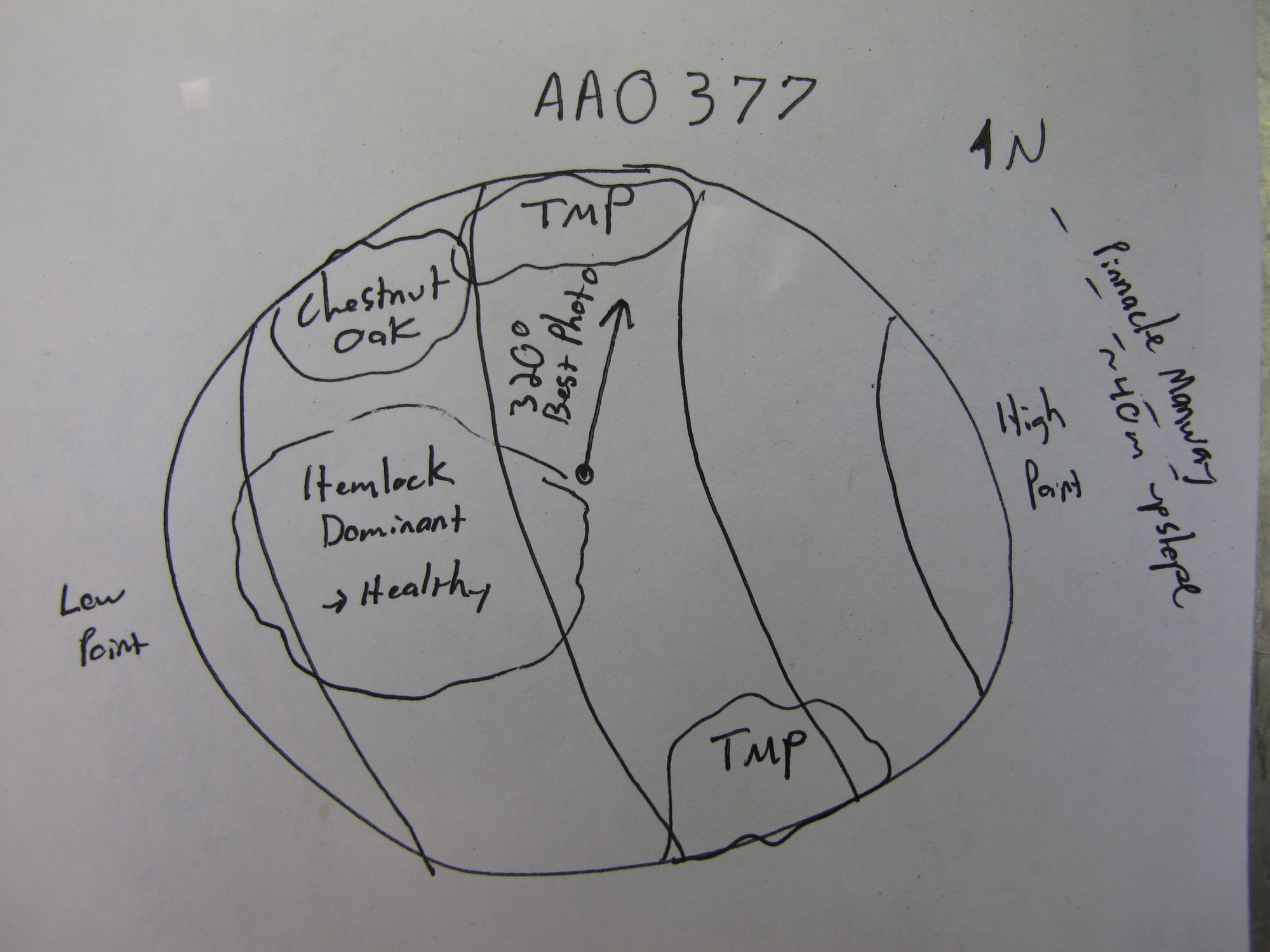 GRSM Accuracy Assessment. Plot Code: GRSM_AA_0377_7
