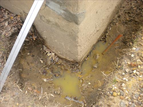 KEAQ-Existing Conditions Aquatic Greenhouses 1,2 & 3 March 4, 2011