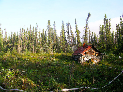 cabin in the alaska