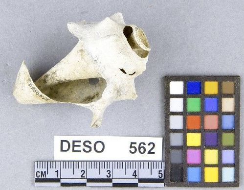 DESO     562 -- Hammer