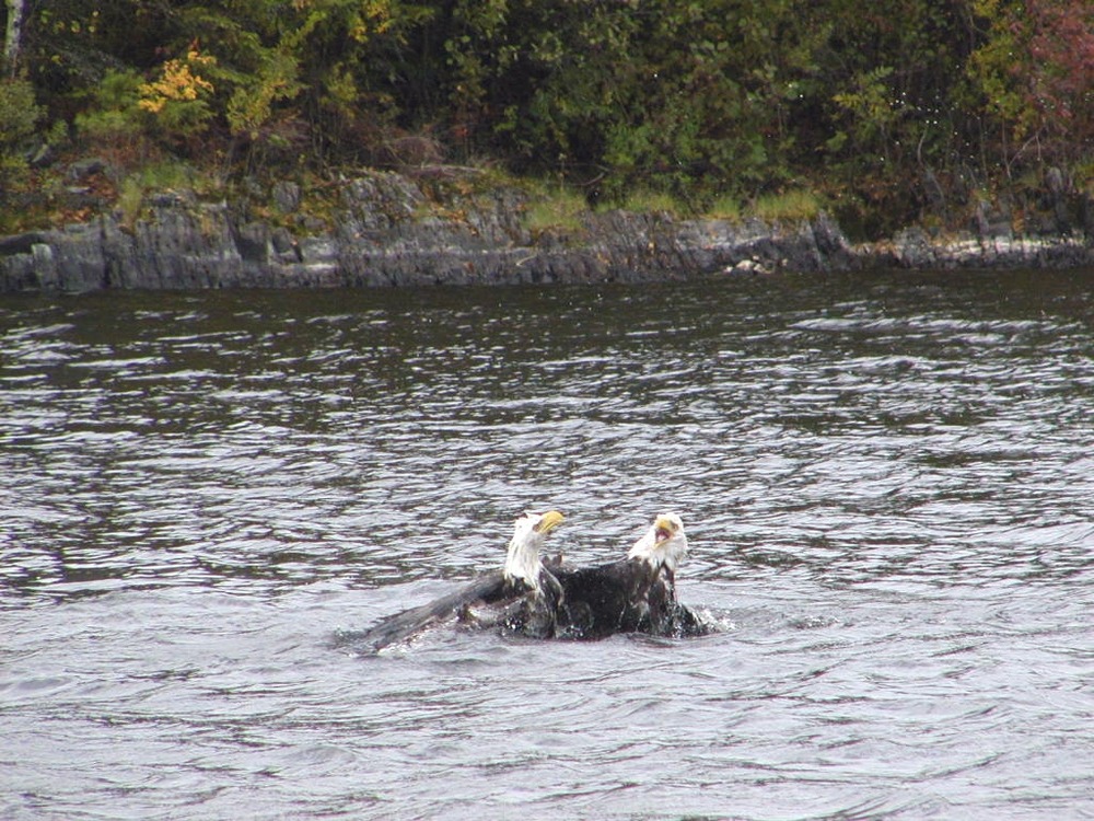 Kruse Bay, Rainy Lake, Voyageurs National Park