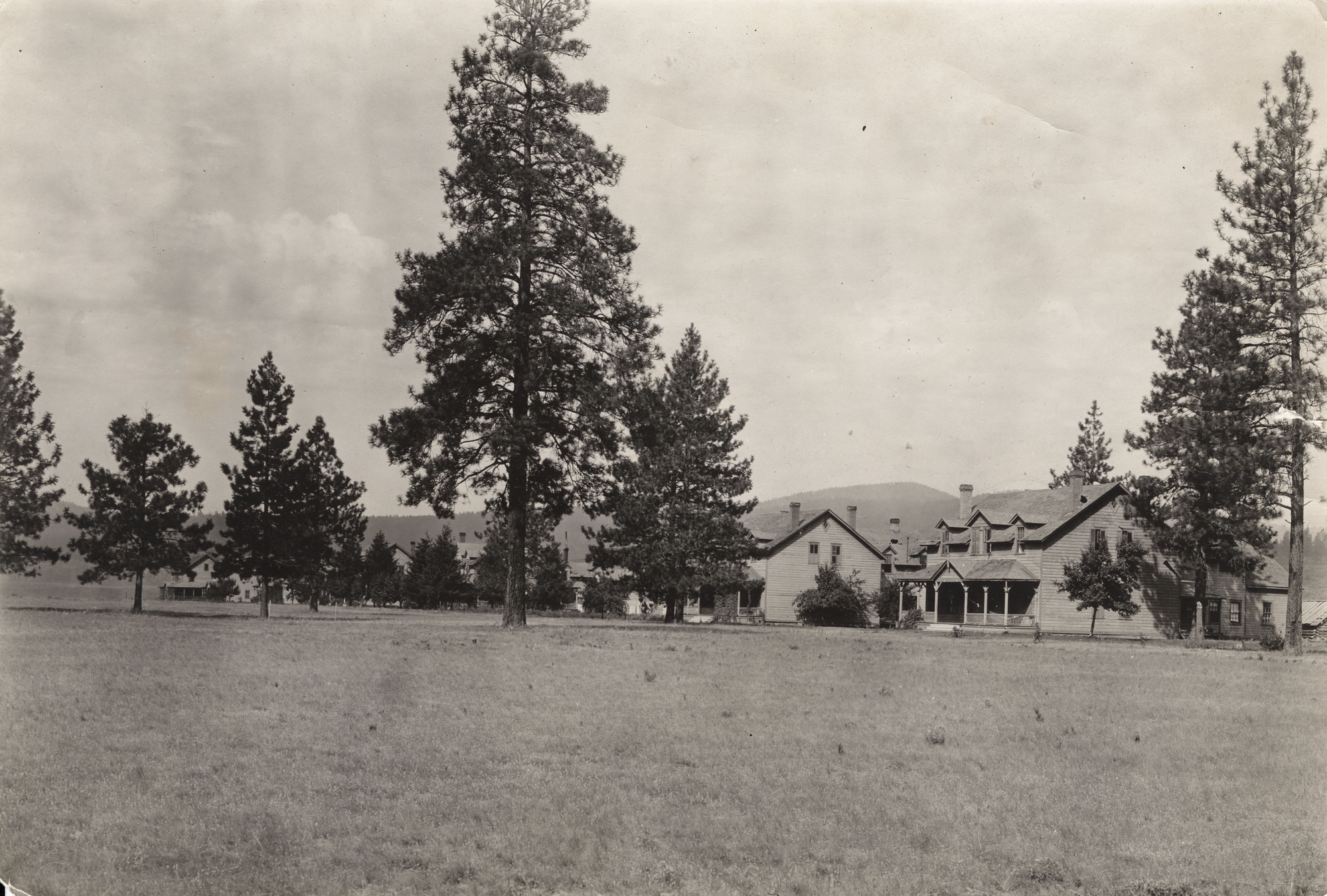 Black and white photograph of a field with trees and houses