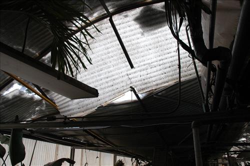 Major snow storm damage to greenhouse #4 at Kenilworth Aquatic Gardens - February 2010
