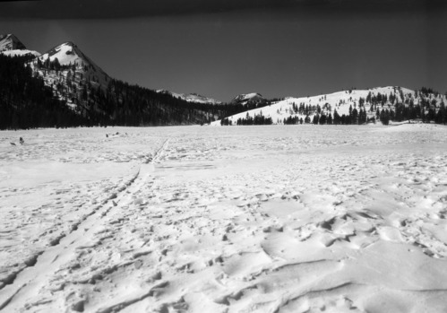 Tuolumne Meadows Looking West