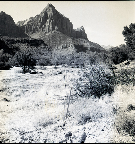 Clearing of right-of-way for new Highway 1, from South Entrance to Virgin River Bridge. The Watchman in the distance (view south).