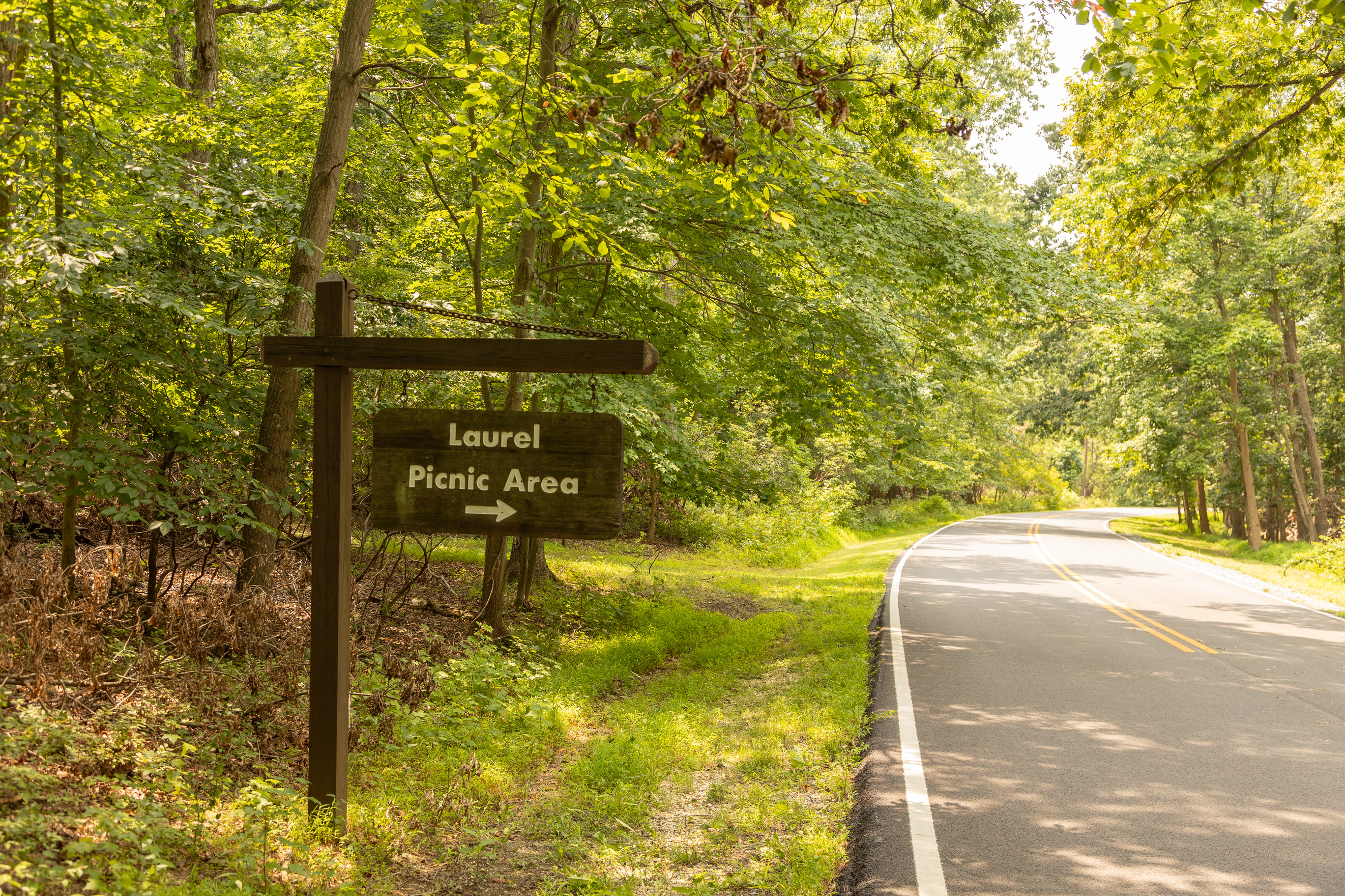 A sign pointing to Laurel Picnic Area from a road in the park. 