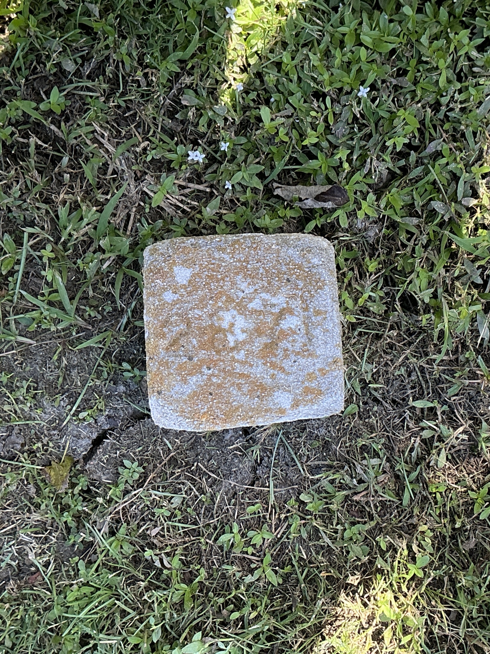 Top of flat marble marker