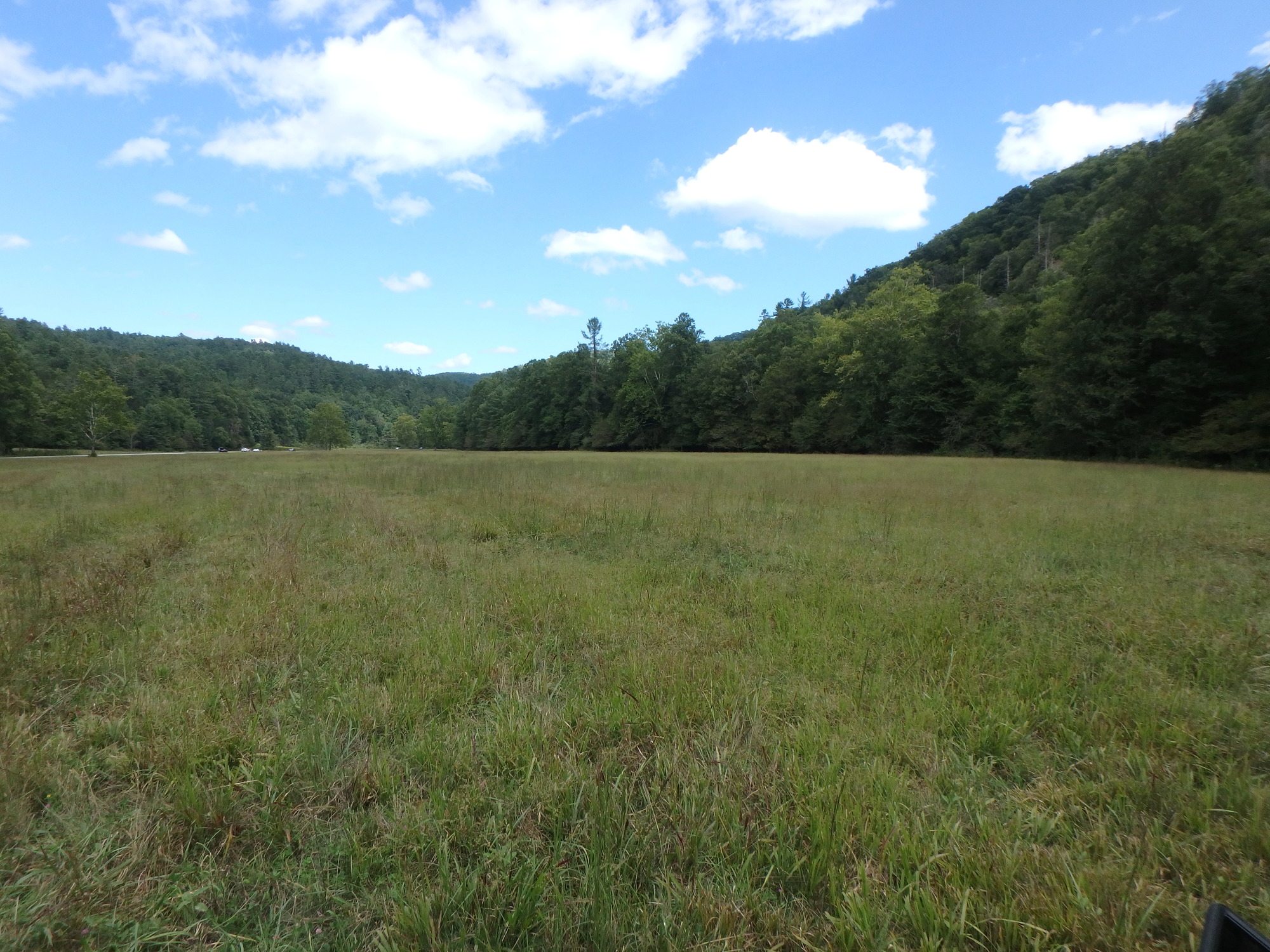 GRSM Accuracy Assessment. Plot Code: GRSM_AA_0093_3