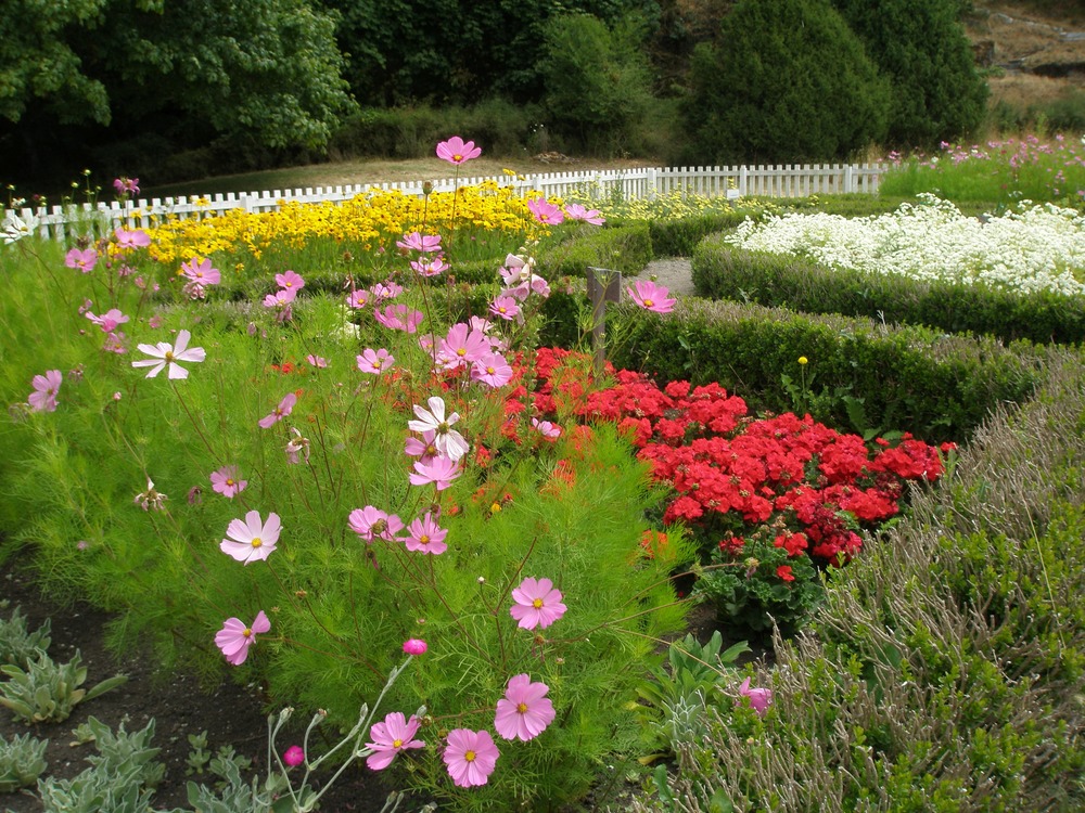 Volunteer Park Ranger Brenda Hutchings not only tended the formal garden, but also recorded it for posterity.