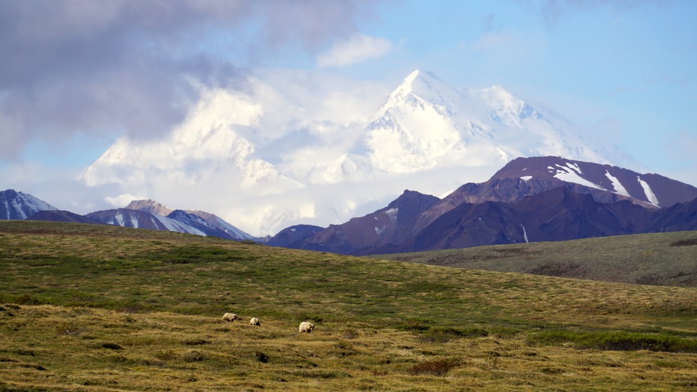 mountains and clouds in Denali National Park