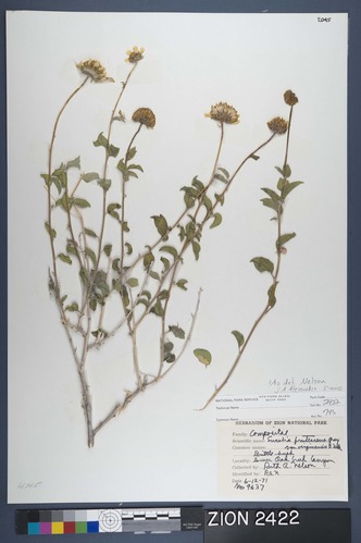 Herbarium Specimen Sheet 2422