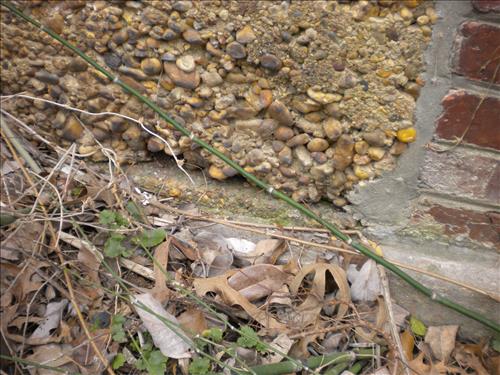 KEAQ-Existing Conditions Aquatic Greenhouses 1,2 & 3 March 4, 2011