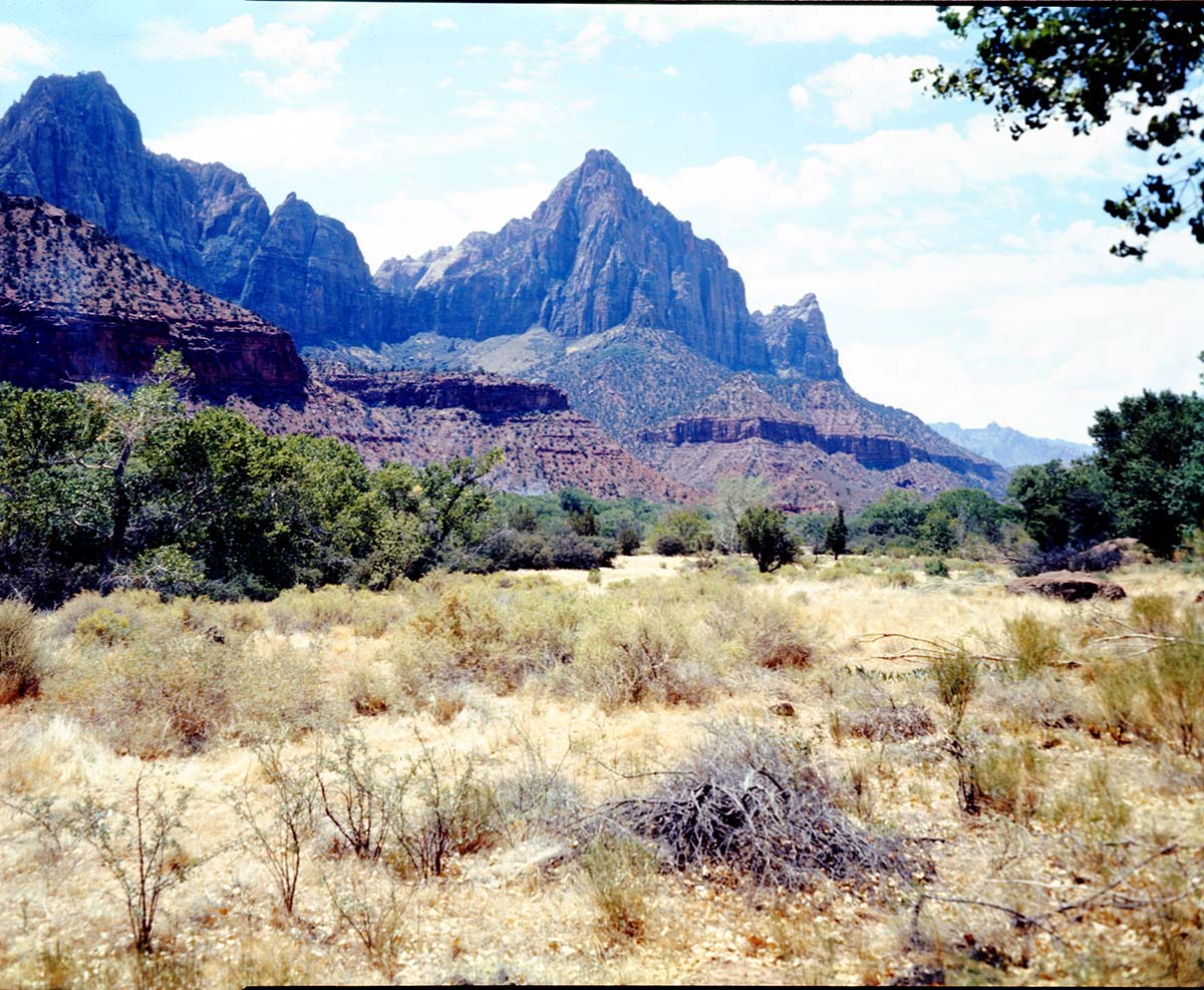 Color Photos of the Watchman - 4 x 5.