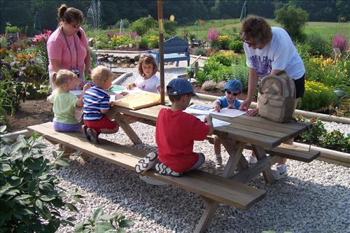 Junior Ranger, Butterfly's Breakfast, Crafts