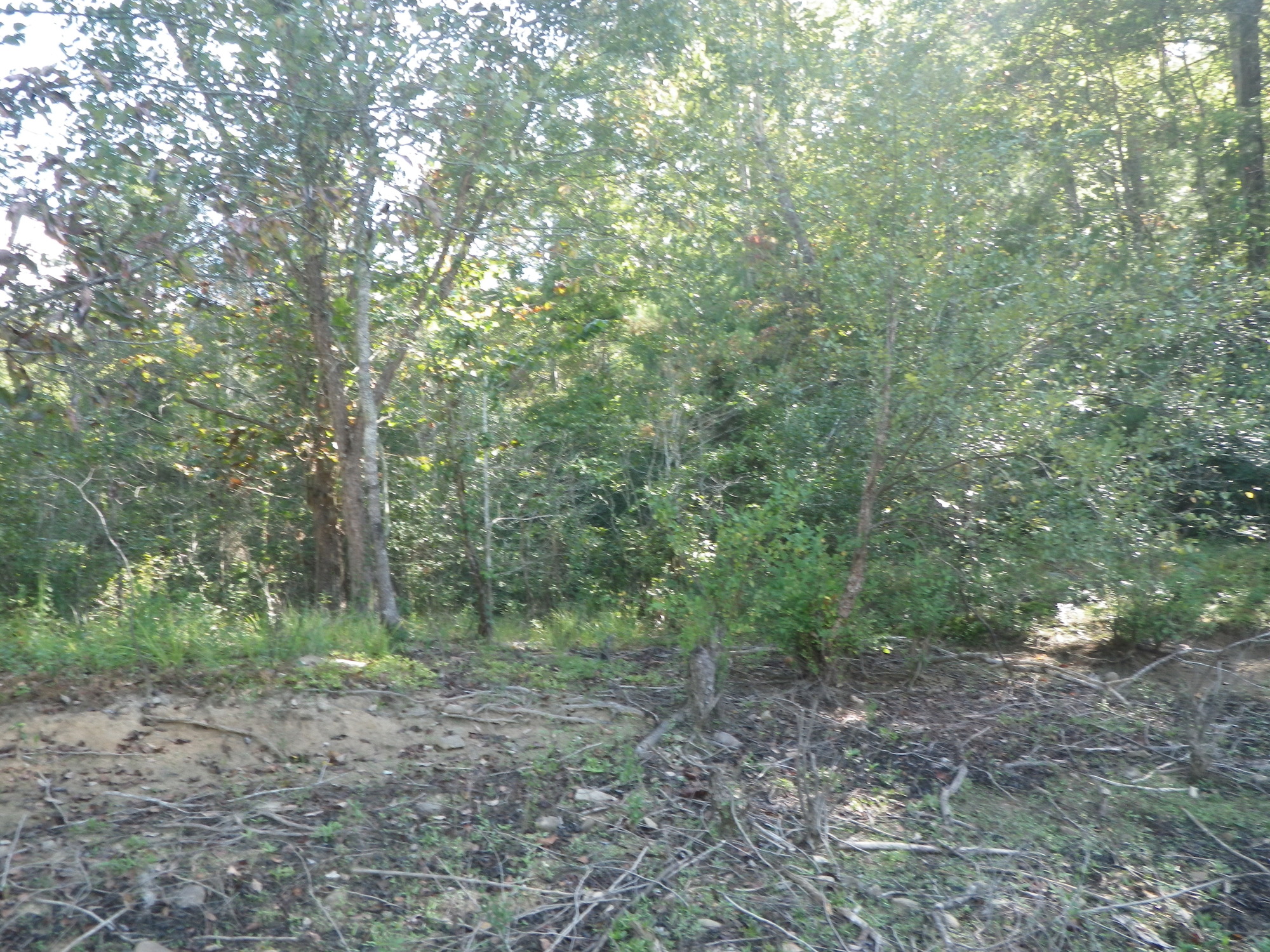 GRSM Accuracy Assessment. Plot Code: GRSM_AA_0168_3