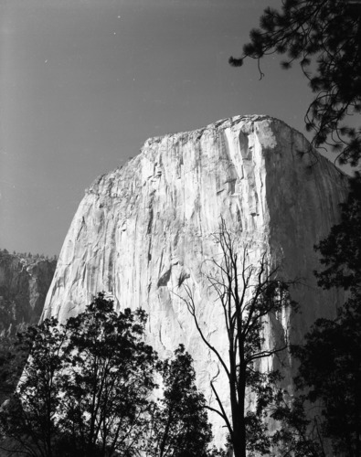 View from Yosemite Valley up the nose of El Captain.