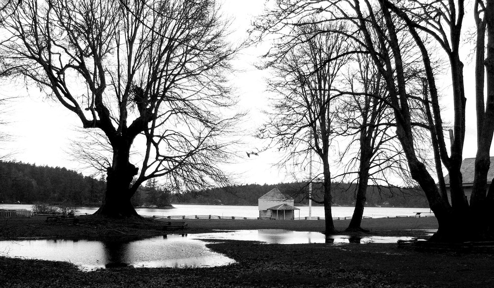 The English Camp parade ground became a network of ponds following a heavy winter rain.