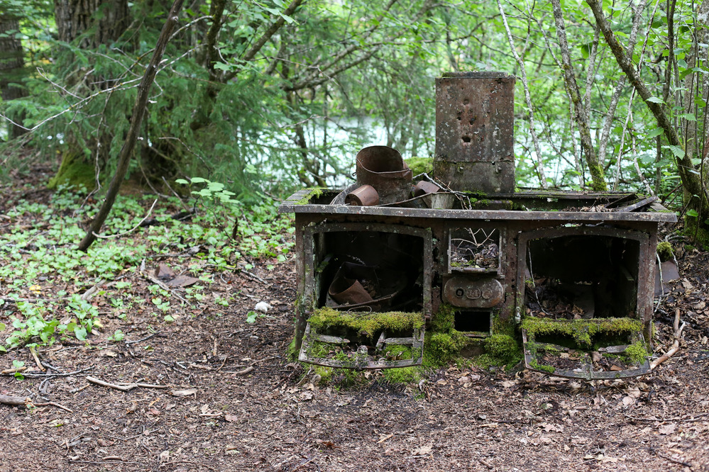 Rusted stove in natural setting