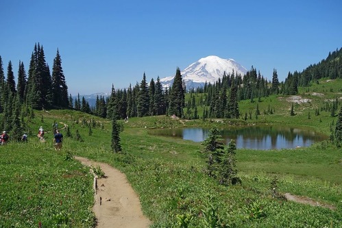 Several people hike a trail through a meadow around a small pond. In the distance rises the glaciated peak of a mountain. 