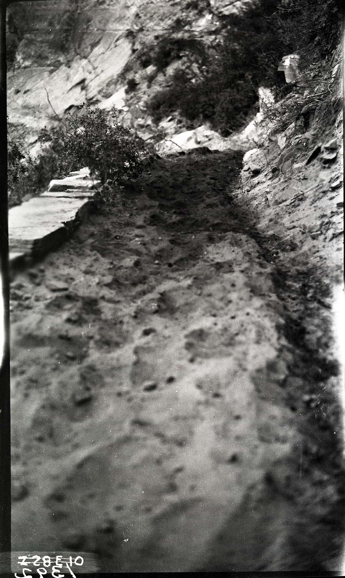 Oiled and unoiled sections of East Rim Trail.