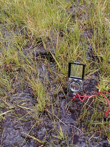 Sandy Meadow in Sept. 2003, Sequoia and Kings Canyon National Park