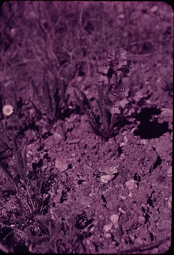 Pondre Ridge Rocky Mountain