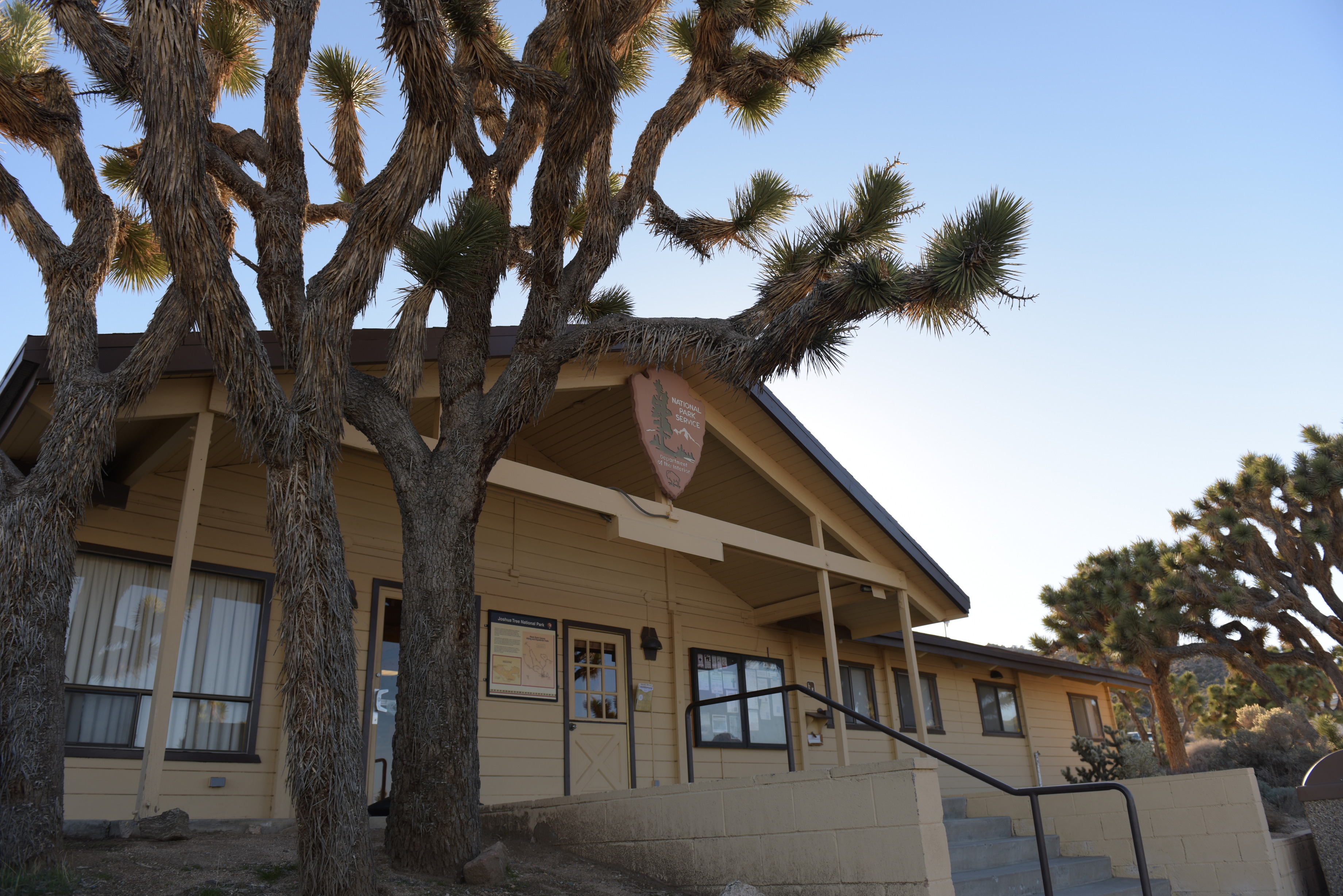 A large tan and brown building with a large arrowhead next to a Joshua tree. 