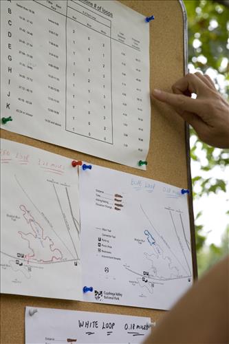 Fall Fun Run maps and orientation