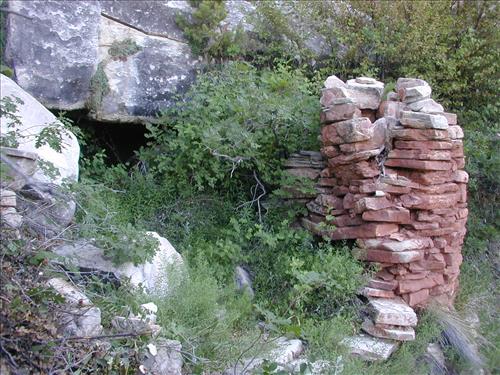 Fuels reduction around Miner's cabin archeological site