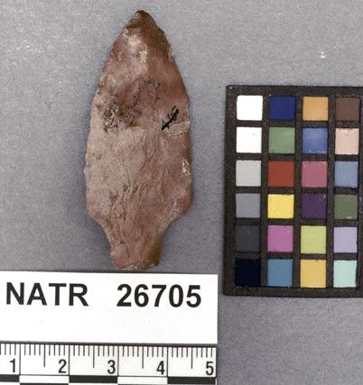 NATR   26705 -- Untyped projectile point
